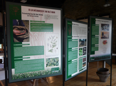 Grand chapitre de la Confr�rie Piperia La Galette